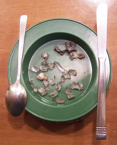 Bodegon de delicias de quarzo con fosiles de Trident.jpg